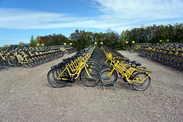 Ven島名物の黄色い自転車たち