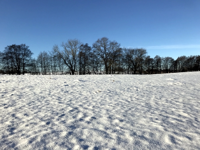 Kronovall自然保護区の雪原