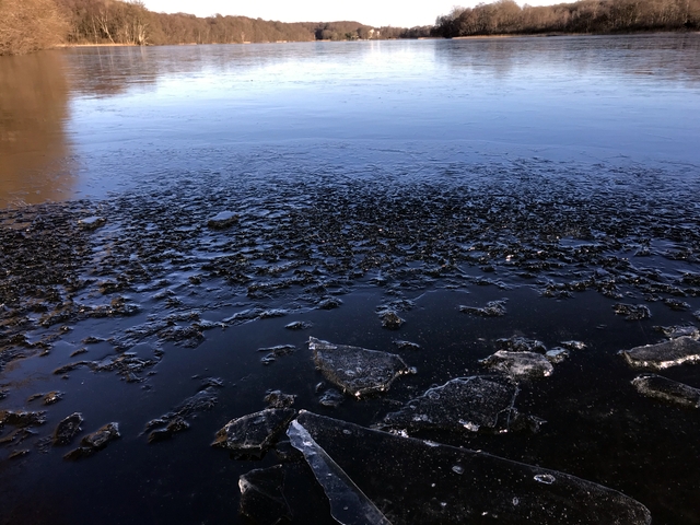 Gyllebosjön（湖）の水も凍ってました