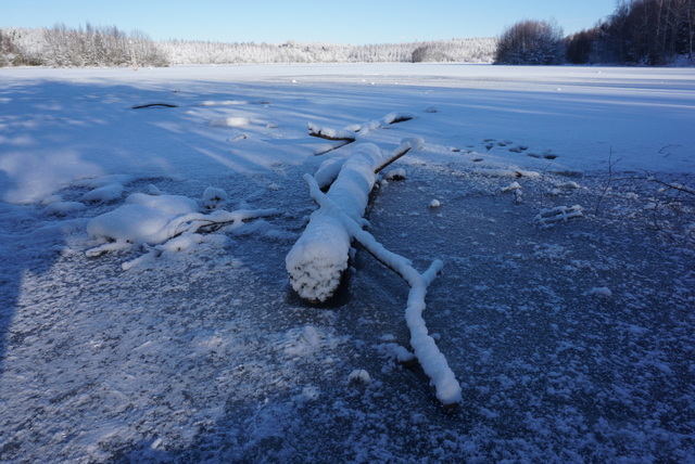 湖は凍ってました
