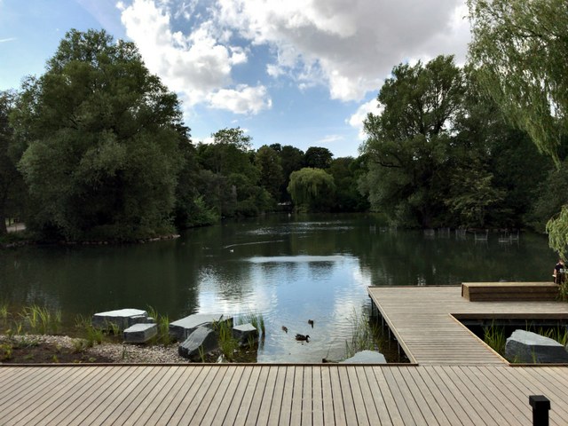 市営公園のにある池の7月の様子